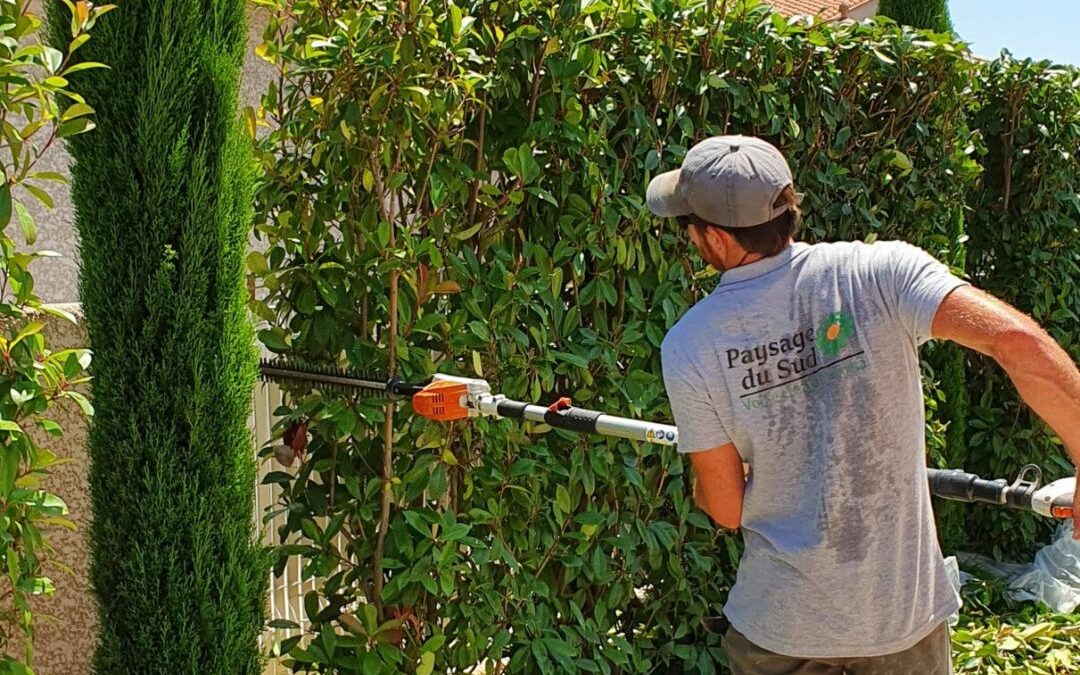 Crédit d’impôt jardinage : comment économiser 50 % sur l’entretien ?