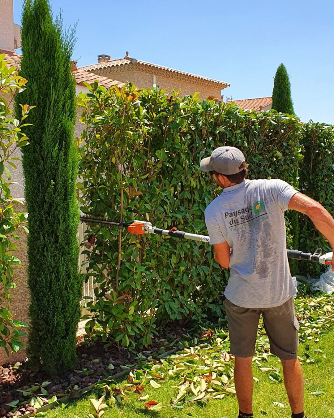 Paysagiste taillant une haie dans le jardin d’un particulier