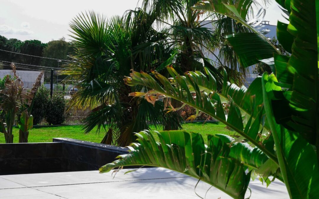 Créer un jardin verdoyant à Perpignan : les conseils d’un paysagiste
