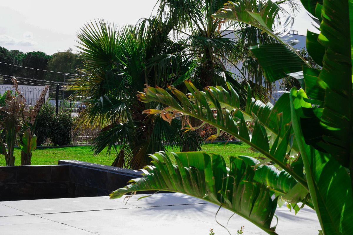 Créer un jardin verdoyant à Perpignan Jardin méditerranéen verdoyant aménagé à Perpignan
