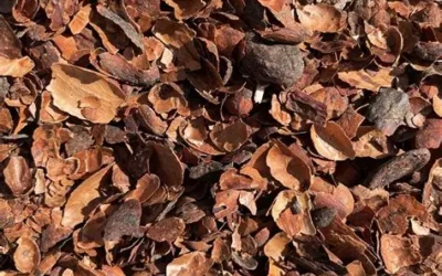 Quel paillage choisir pour son jardin dans les Pyrénées-Orientales ?