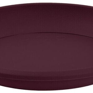 Soucoupe Osaka aubergine